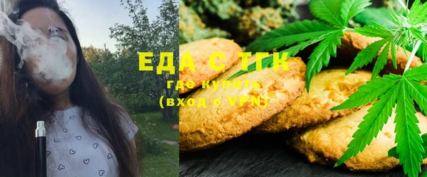 крисы Алзамай