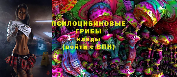 первитин Алексеевка