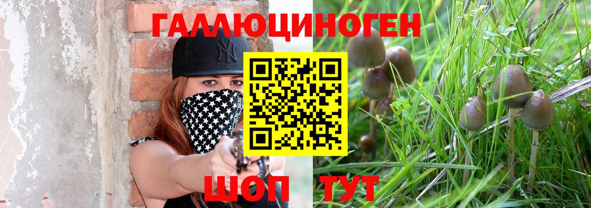 как найти наркотики  Вход с VPN  Людиново  Псилоцибиновые грибы ЛСД 